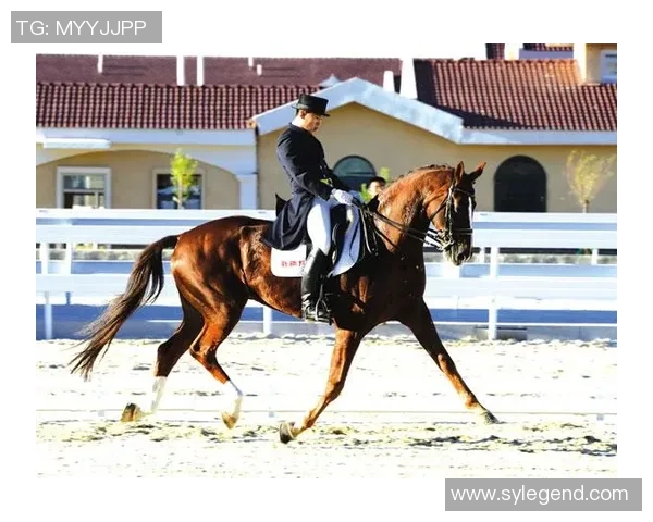 优雅与力量的结合最绅士的足球明星如何在绿茵场上展现风度与魅力